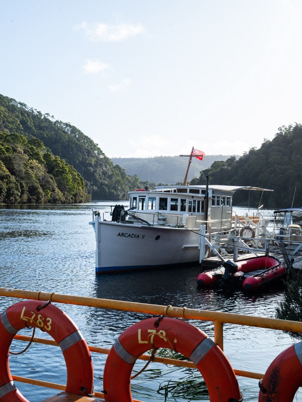 the MV Arcadia II docking passengers in Pieman River