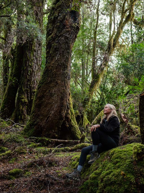 a woman sitting on the mossy floor of a rainforest in the Corinna wilderness