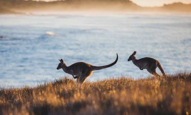 Every memory-making stop on a Yamba to Coffs Harbour day trip
