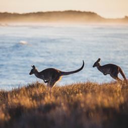 Every memory-making stop on a Yamba to Coffs Harbour day trip