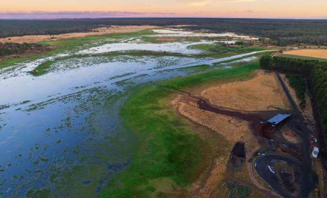 an aerial view of the woodlands and wetlands of Budj Bim