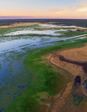 an aerial view of the woodlands and wetlands of Budj Bim