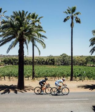 <p><strong>Adelaide</strong> to <strong>Barossa Valley</strong>: <i>the five ways</i> to get there</p>
