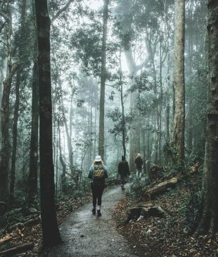 <p><i>The hikes and swimming holes</i> near <strong>Bellingen</strong> you don’t want to miss</p>
