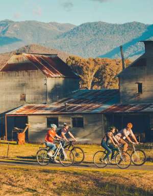 a group of bikers traversing the Murray rail trail