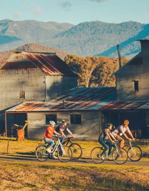 a group of bikers traversing the Murray rail trail
