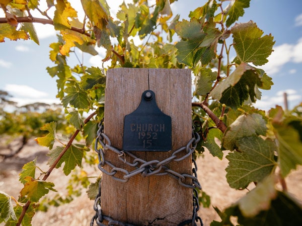 Henschke Hill Of Grace Vineyard