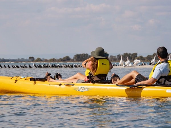 Salt & Bush Eco Tour Kayak and Birdwatching Tour Mandurah