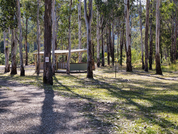 a campsite in a forest at within Nymboida Camping and Canoeing