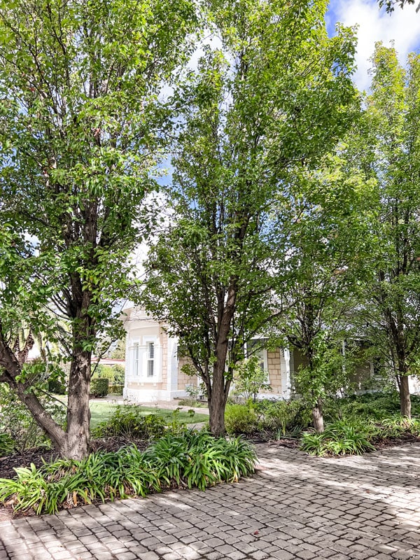 Tanunda House in Barossa Valley