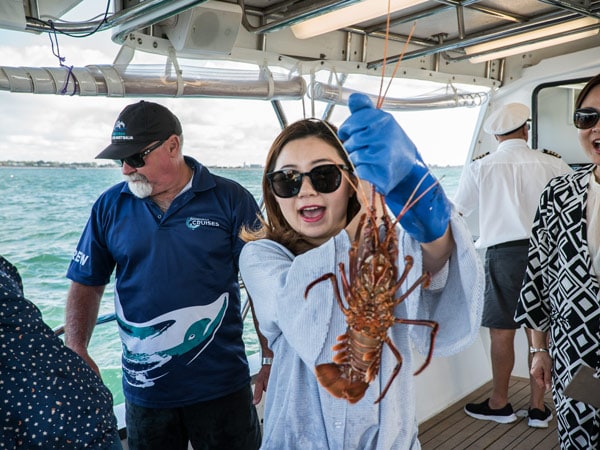 Rock Lobster Wild Seafood Experience on Mandurah Cruises