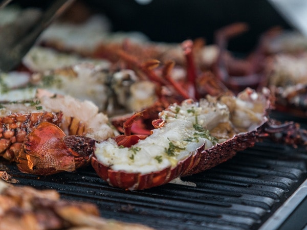 Wild Seafood Experience on Mandurah Cruises