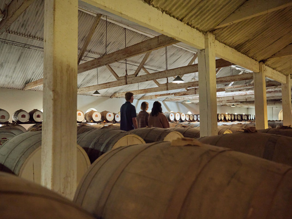 wine tasting and cellar door experience at Seppeltsfield