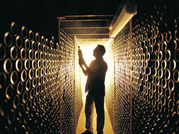 Taste of Barossa Chateau Yaldara