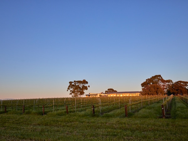 The Louise Lodge Property