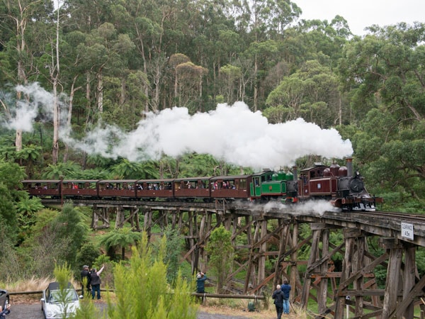 the legendary steam train Puffing Billy passing through a mountain track