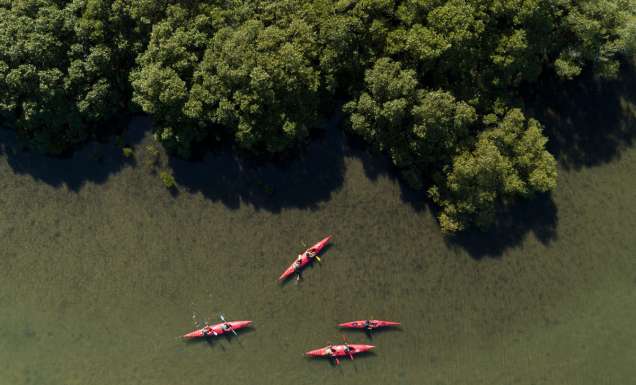 Yamba Kayaks on the Clarence River