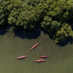 Yamba Kayaks on the Clarence River