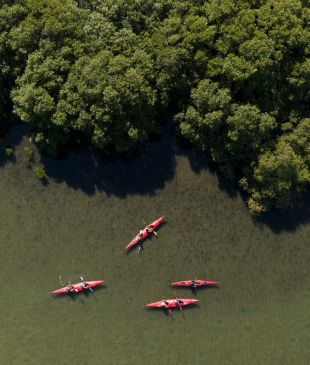 <p><i>22 magnificent things to do</i> in <strong>Yamba</strong> this summer</p>
