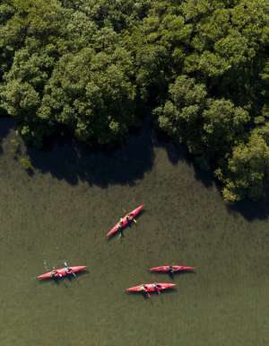 Yamba Kayaks on the Clarence River