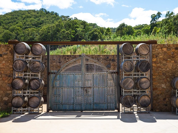 a cellar gate with empty barrels of wine at Feathertop Winery