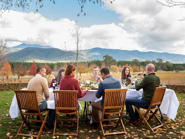 guests drinking and dining al fresco at Feathertop Winery