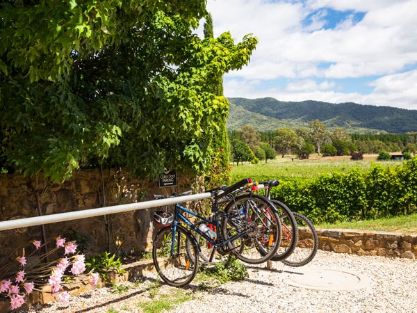 a parking area for bicycles at Feathertop Winery