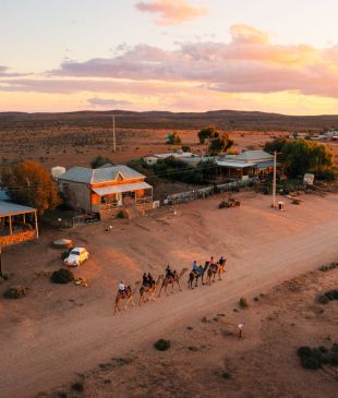 <p><i>13 unique things to do</i> in <strong>Broken Hill</strong></p>
