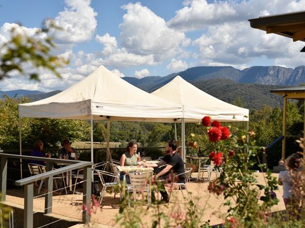 a couple hanging out over wine at Ringer Reef Winery, Bright