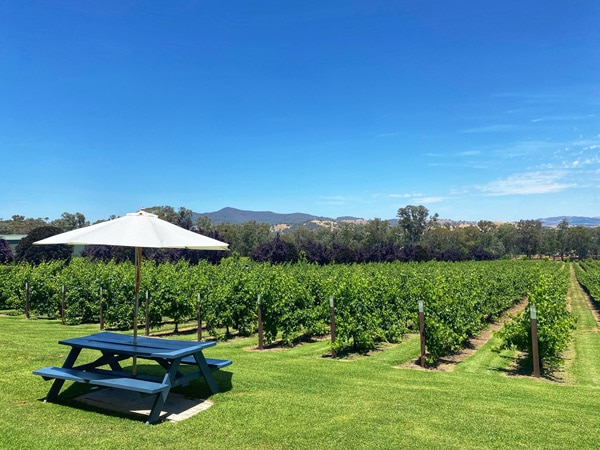 a picnic table with umbrella set on a vineyard in Gapsted, Bright