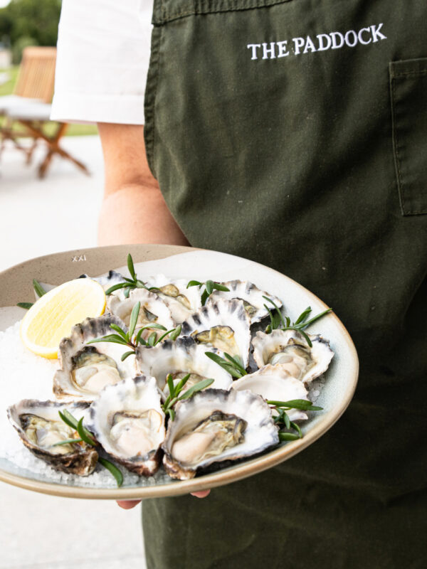 a man holding a plate of fresh oysters at The Paddock Restaurant