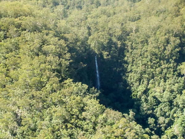 Protesters Falls in Nightcap National Park, Byron Bay, NSW