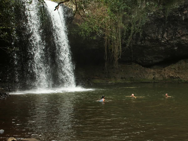 Killen Falls near Byron Bay, NSW