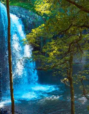 Killen Falls near Byron Bay, NSW