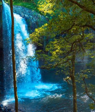 <p><i>7 magnificent waterfalls to visit near</i> <strong>Byron Bay</strong></p>
