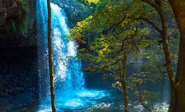 Killen Falls near Byron Bay, NSW