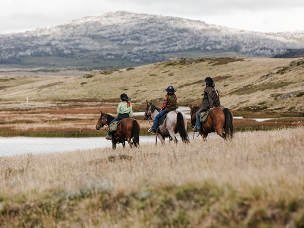 Bogong Horseback Adventures