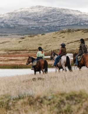 Bogong Horseback Adventures