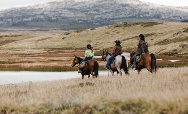Bogong Horseback Adventures