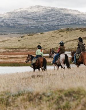 Bogong Horseback Adventures