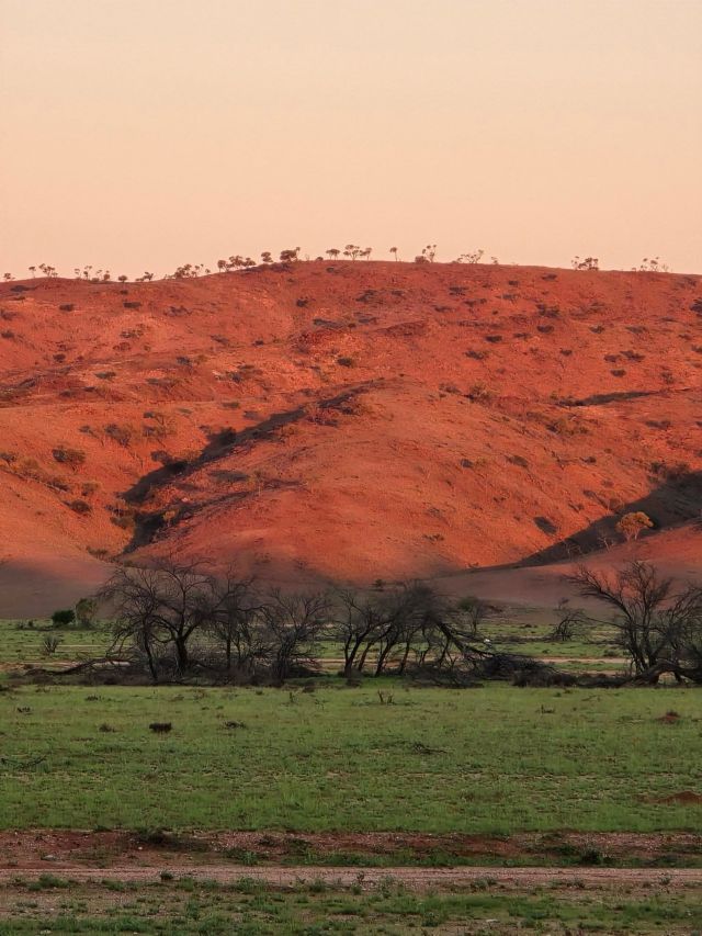Eldee Station in Broken Hill