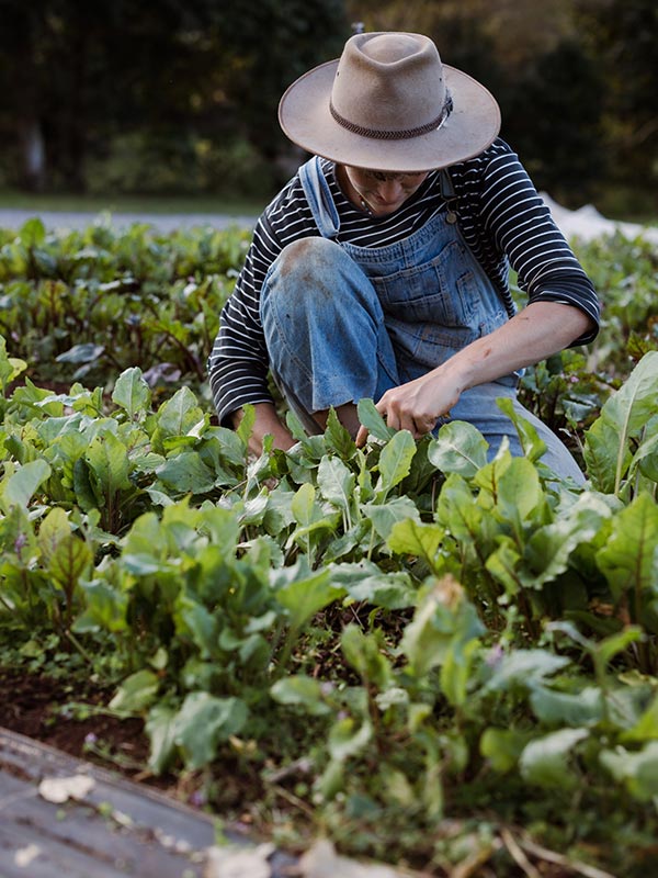 Falls Farm, Mapleton
