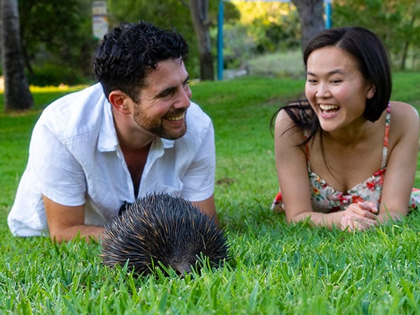 echidna on Great Keppel Island