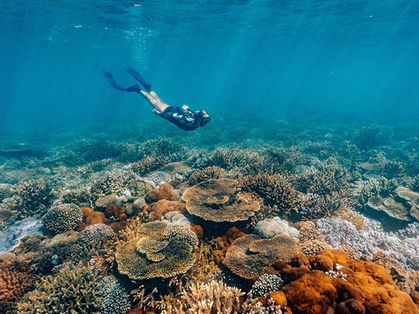 snoekelling on Great Keppel Island