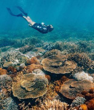 <p><i>Your ultimate guide</i> to <strong>Great Keppel Island</strong></p>
