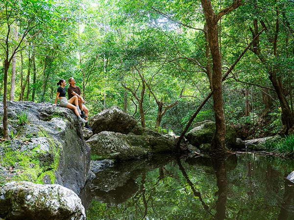 Mapleton National Park, Gheerulla Falls