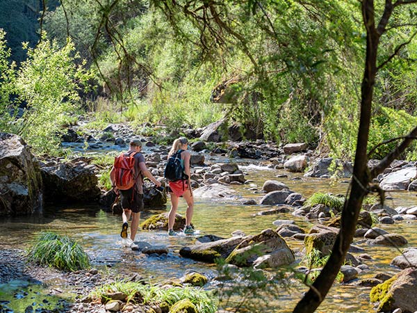 Mount Beauty Gorge Walk