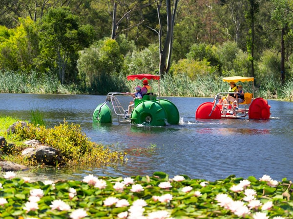 parents paddle biking with their children at Thunderbird Park
