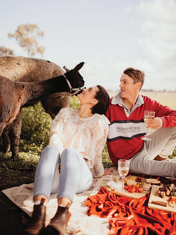 Picnic with the alpacas