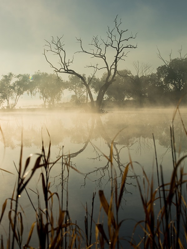 Tiger Bay Wetlands
